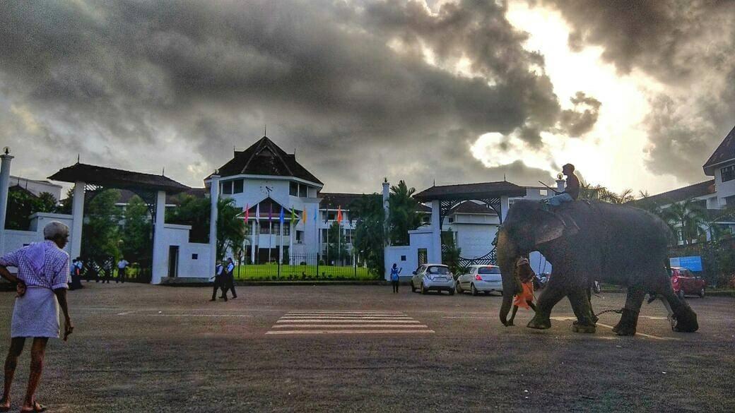 Saintgits Institute of Management Kottayam Campus Building photo 8